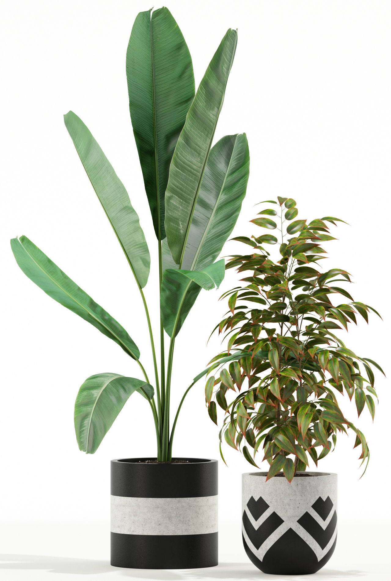 Plants collection 114 3D model_1