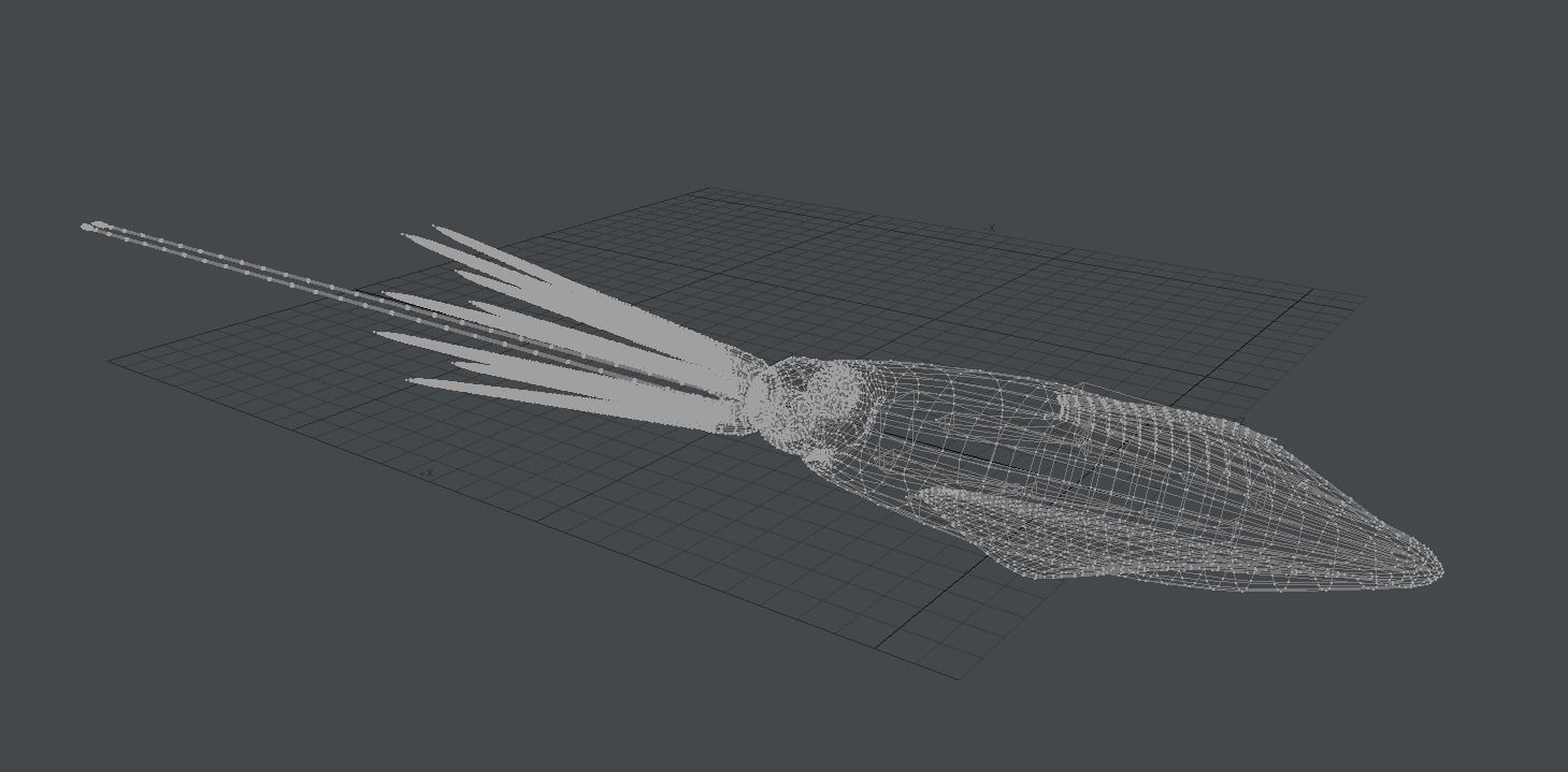 Giant Squid 3D model_3
