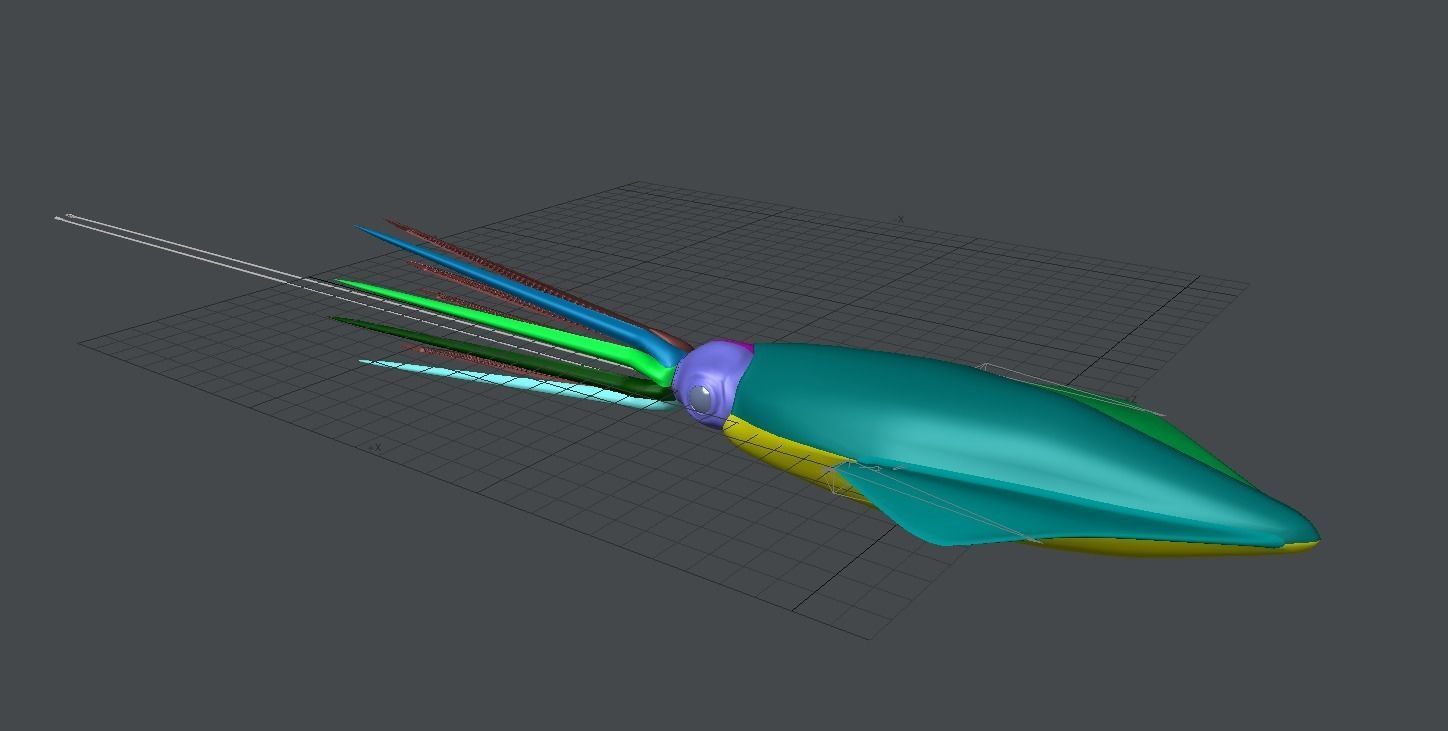 Giant Squid 3D model_2