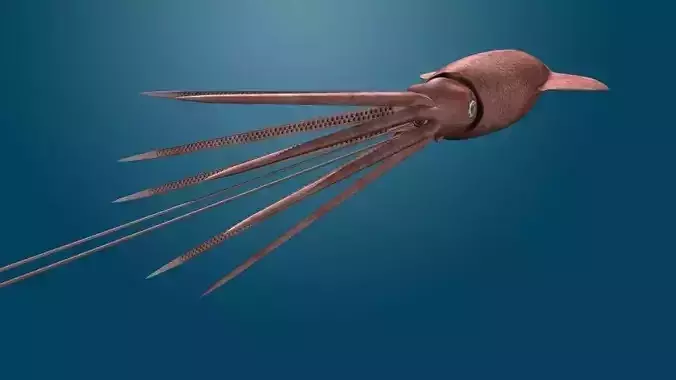 Giant Squid 3D model