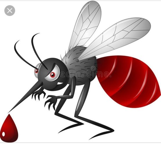 Mosquito with blood drop Free 3D print model