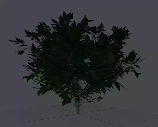 Bushy plant 3D model