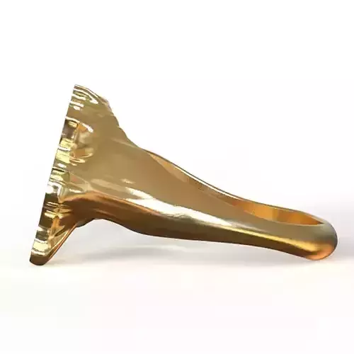 Belgium Ring 2 3D print model