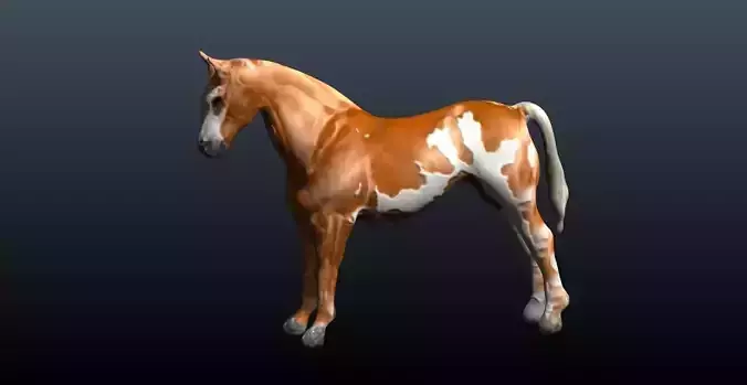 horse 3D model