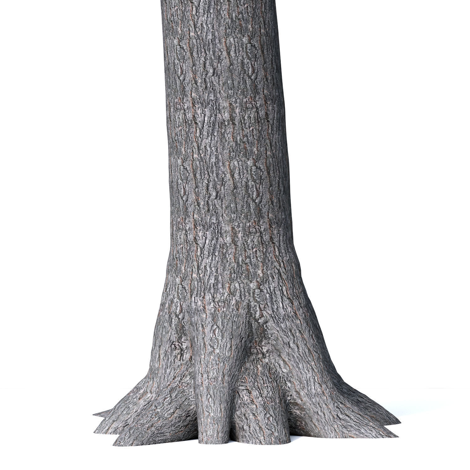 Tree without leaves 3D model_5