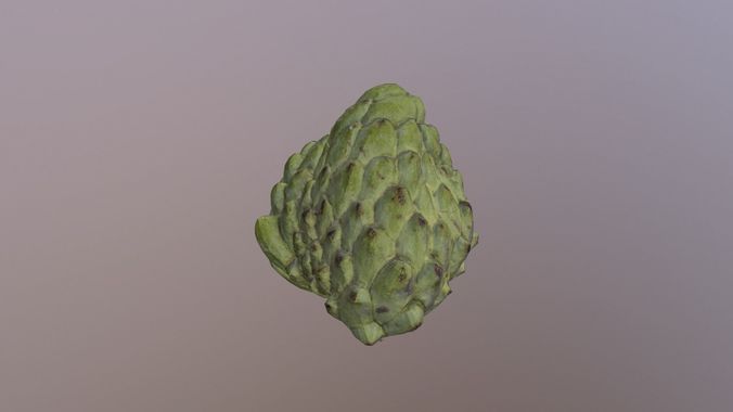 Annona leaf Low-poly 3D model