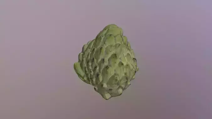 Annona leaf Low-poly 3D model