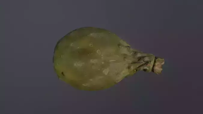 Opuntia ficus-indica - Indian Fig Low-poly 3D model