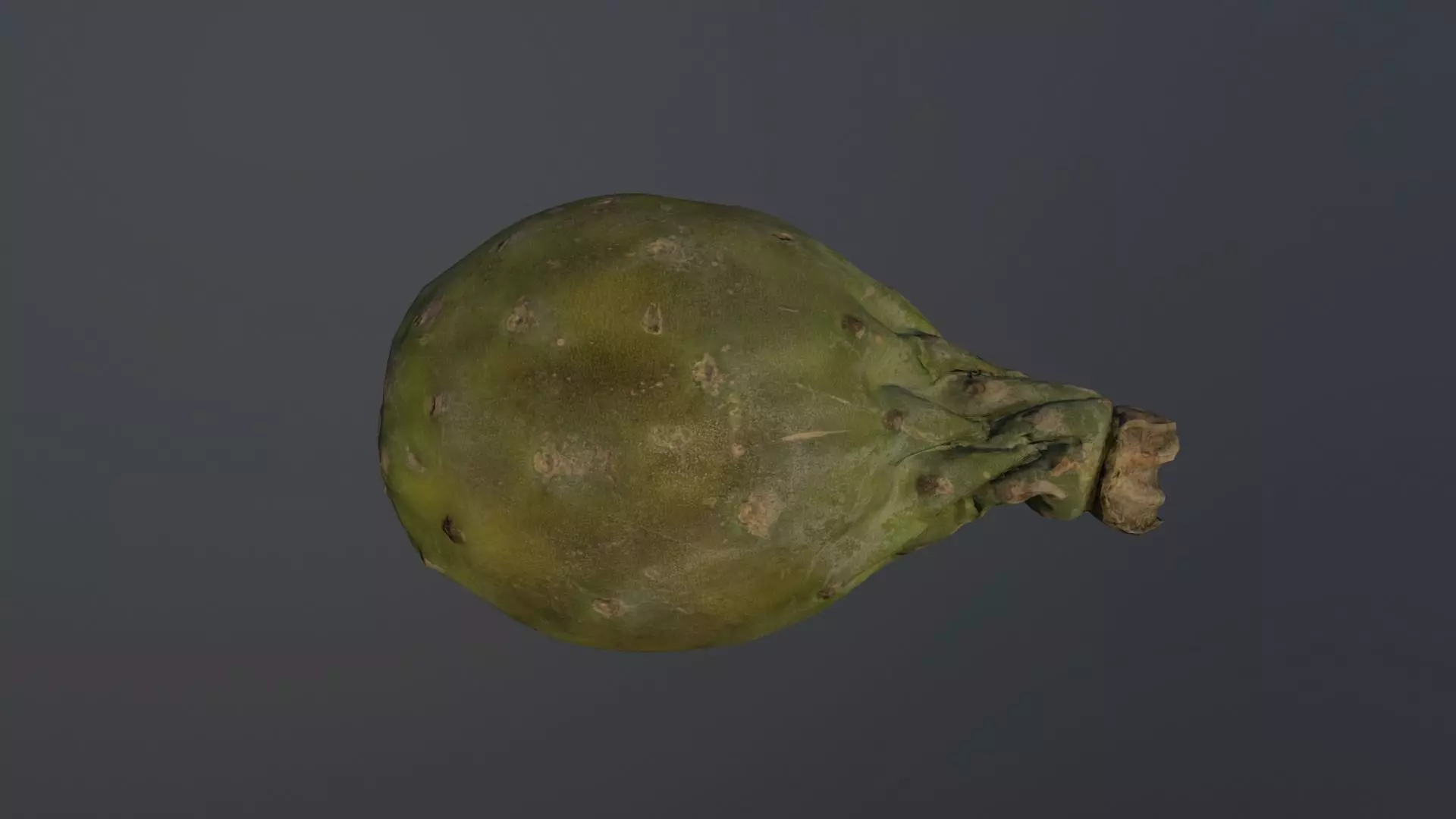 Opuntia ficus-indica - Indian Fig Low-poly 3D model_0