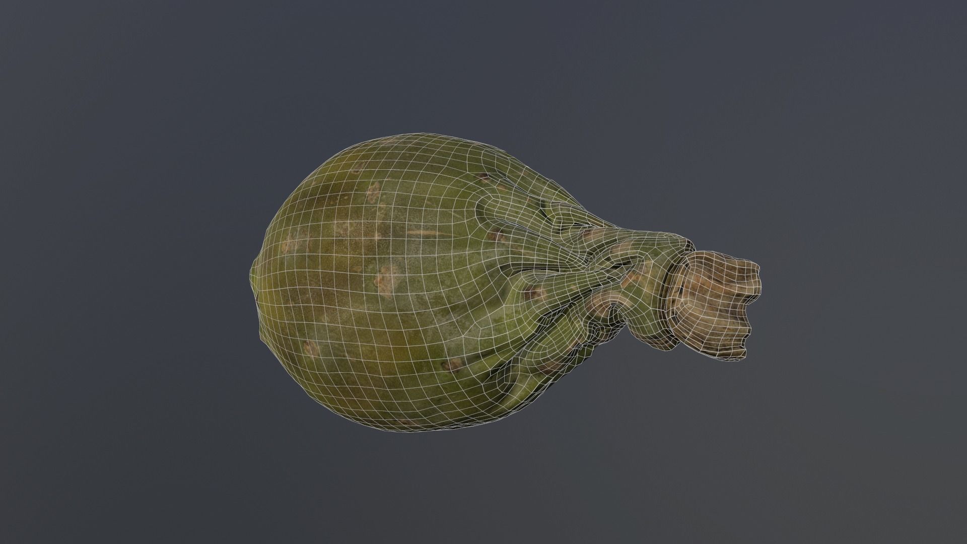 Opuntia ficus-indica - Indian Fig Low-poly 3D model_5