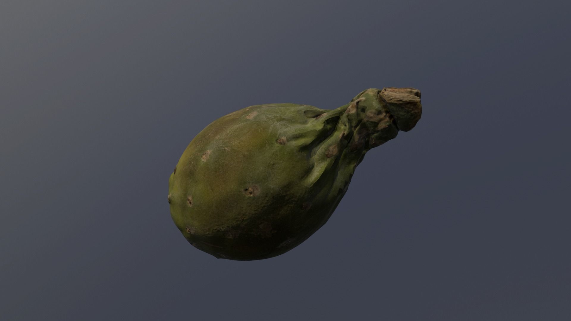 Opuntia ficus-indica - Indian Fig Low-poly 3D model_3