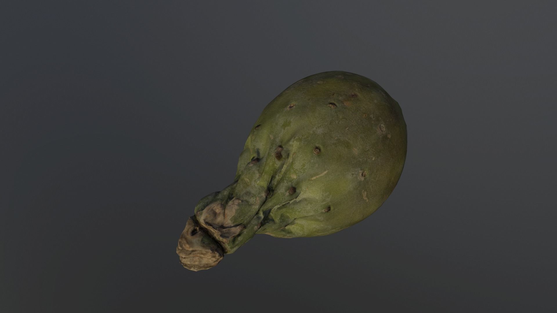 Opuntia ficus-indica - Indian Fig Low-poly 3D model_4