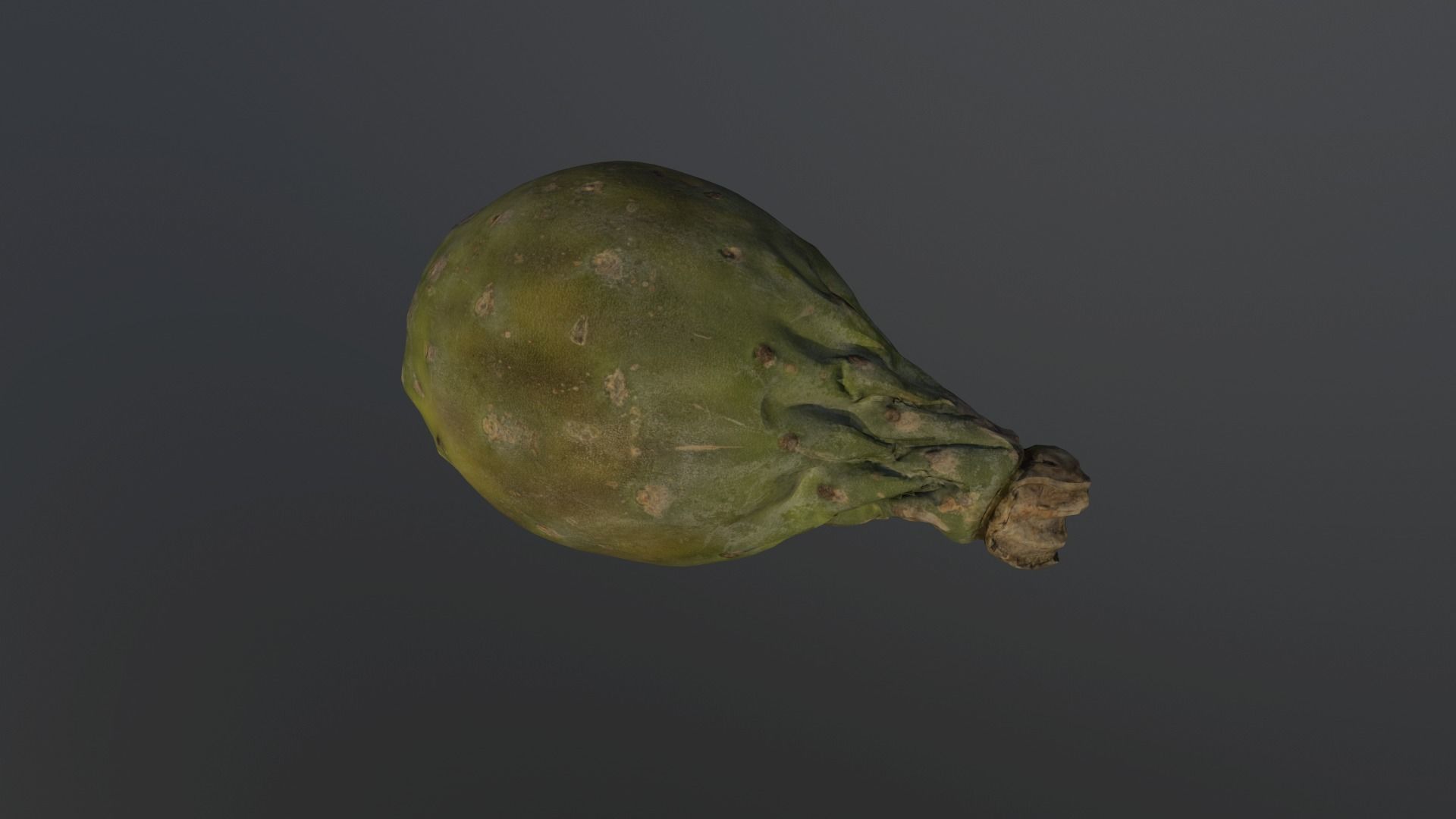 Opuntia ficus-indica - Indian Fig Low-poly 3D model_2