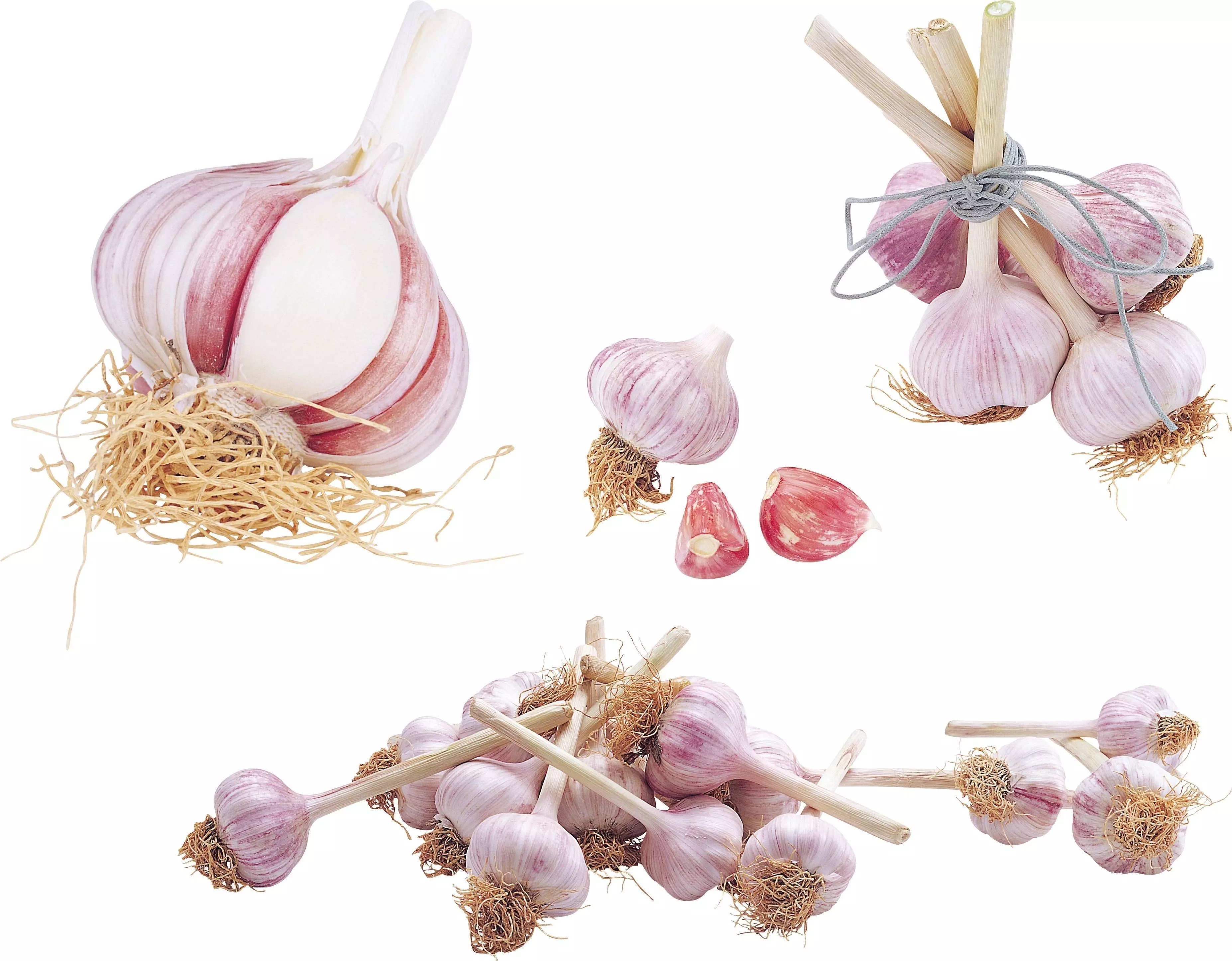 Garlic Texture