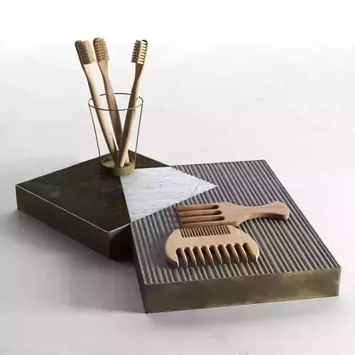 Tray with Toothbrushes and Combs 3D model