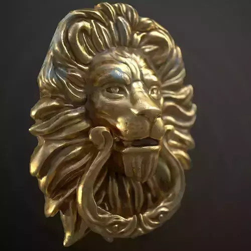 Lion on the door