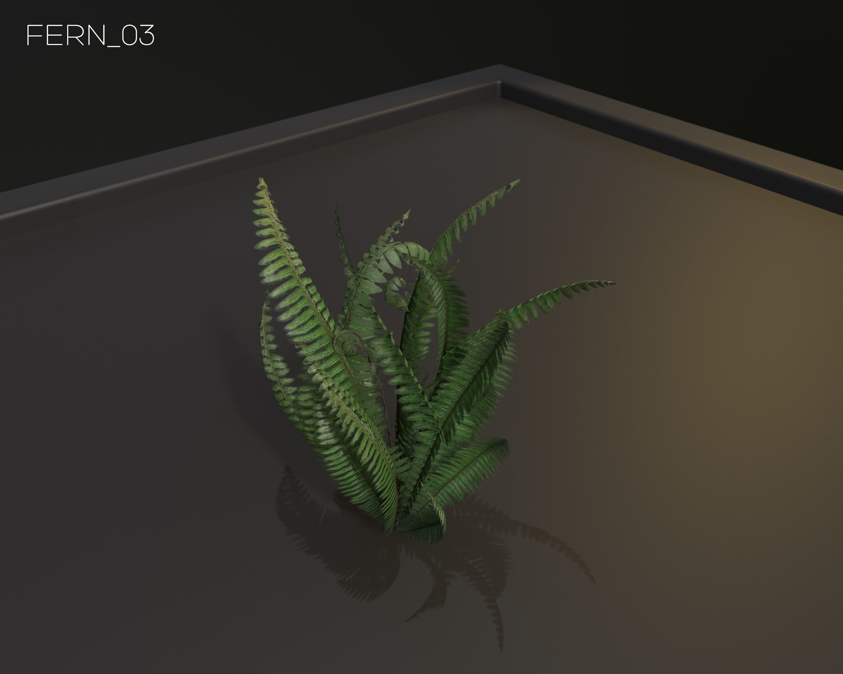 Castle Ruins Environment - PBR Medieval Props and Vegetation Low-poly 3D model_77