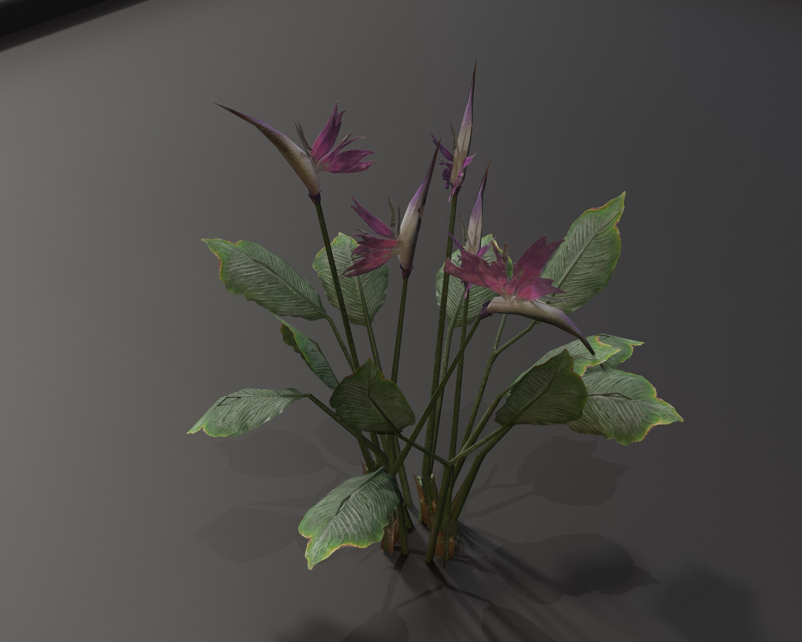 Castle Ruins Environment - PBR Medieval Props and Vegetation Low-poly 3D model_84