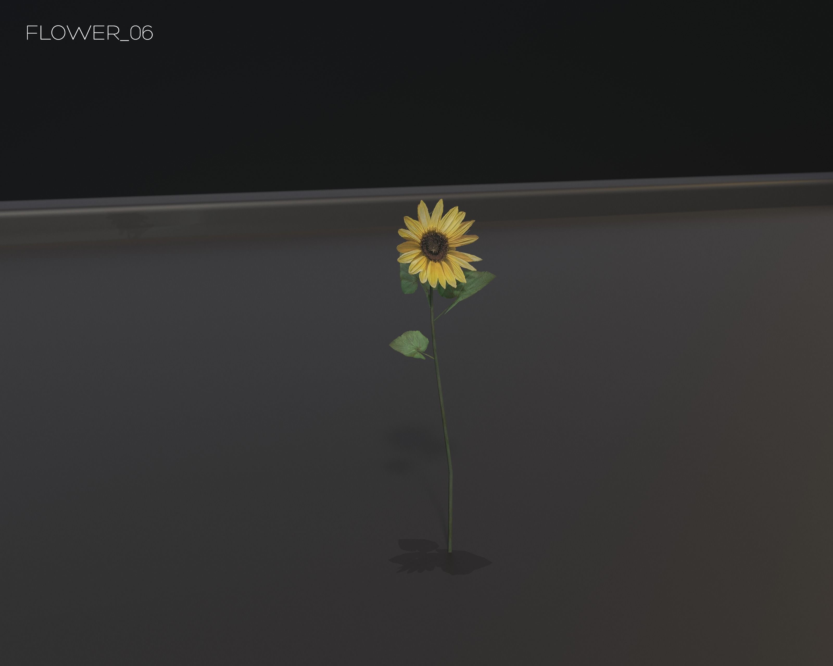 Castle Ruins Environment - PBR Medieval Props and Vegetation Low-poly 3D model_91