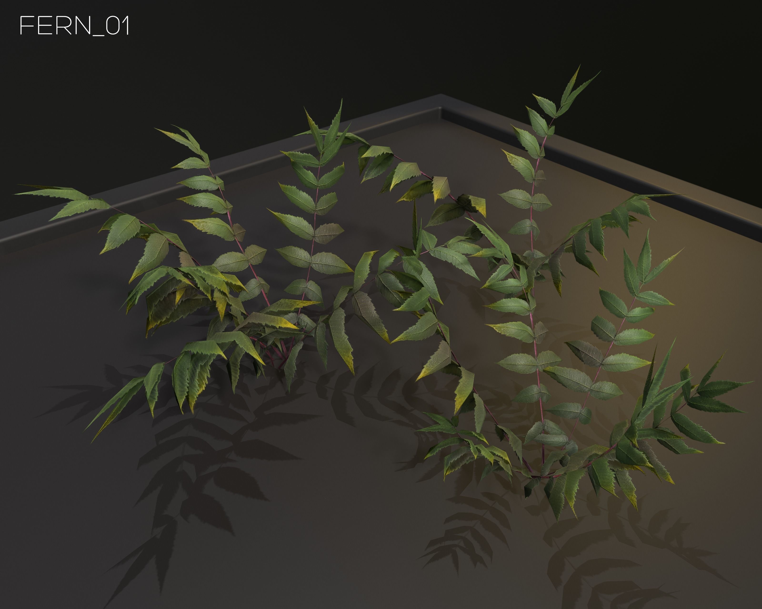 Castle Ruins Environment - PBR Medieval Props and Vegetation Low-poly 3D model_71