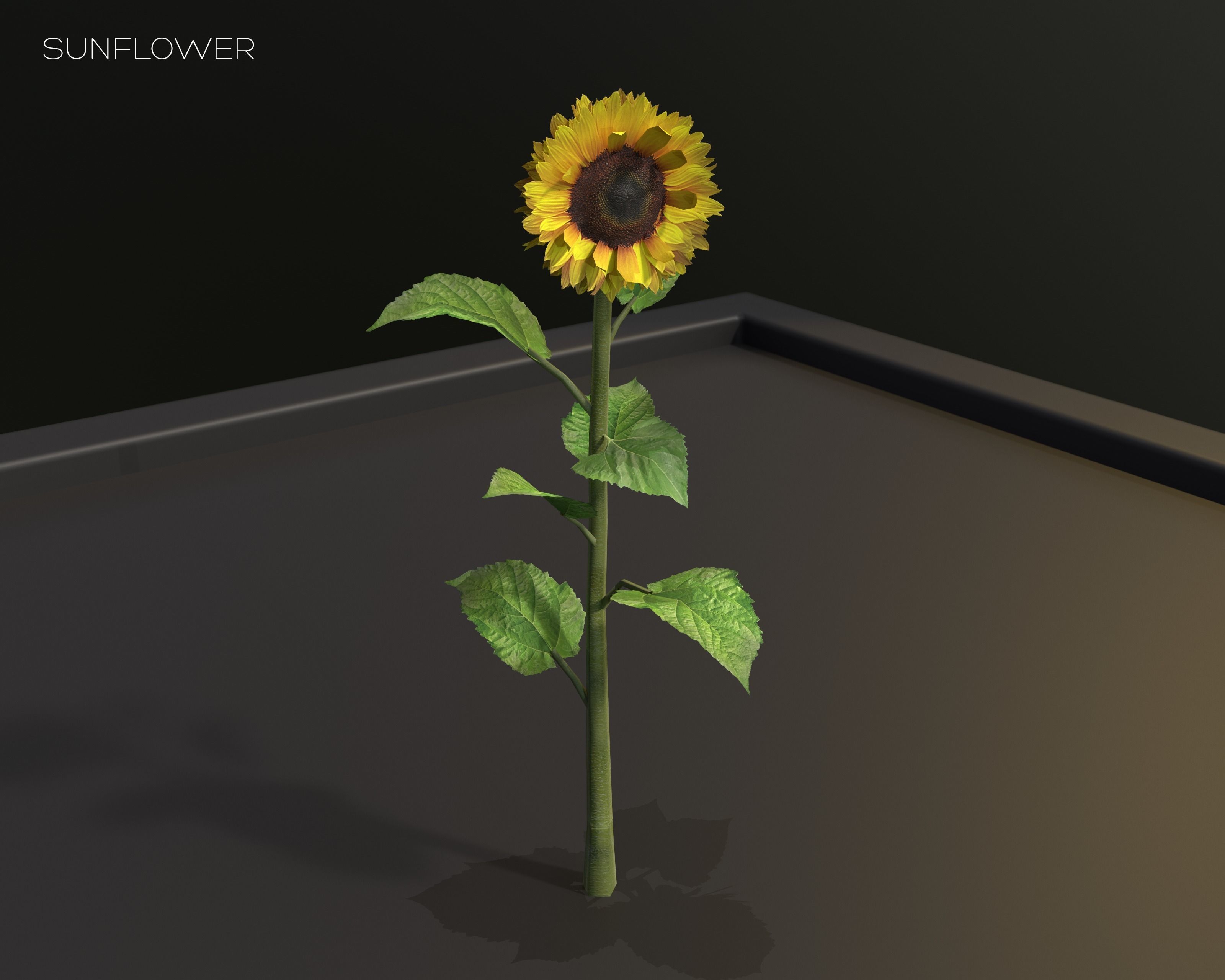 Castle Ruins Environment - PBR Medieval Props and Vegetation Low-poly 3D model_96