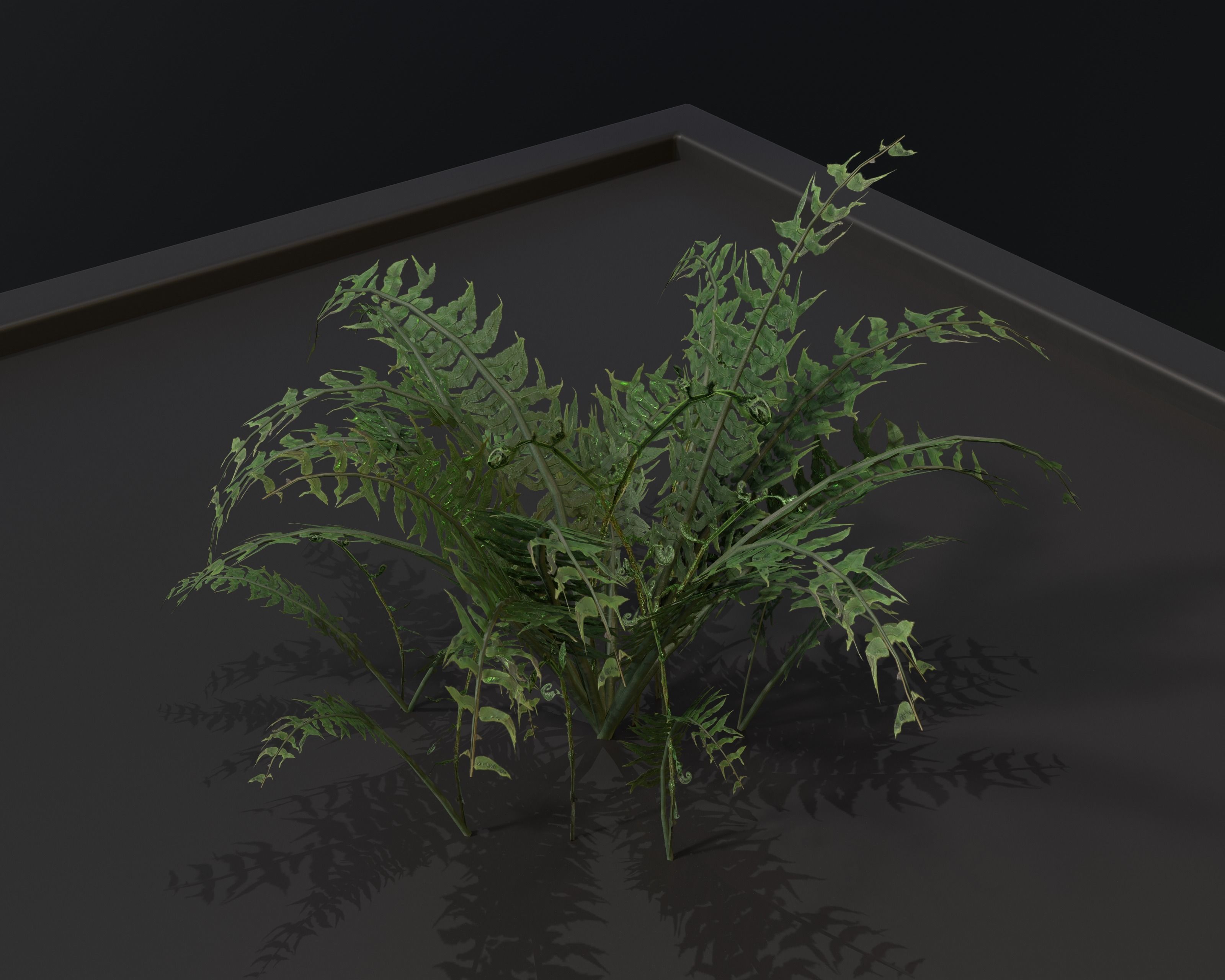 Castle Ruins Environment - PBR Medieval Props and Vegetation Low-poly 3D model_76