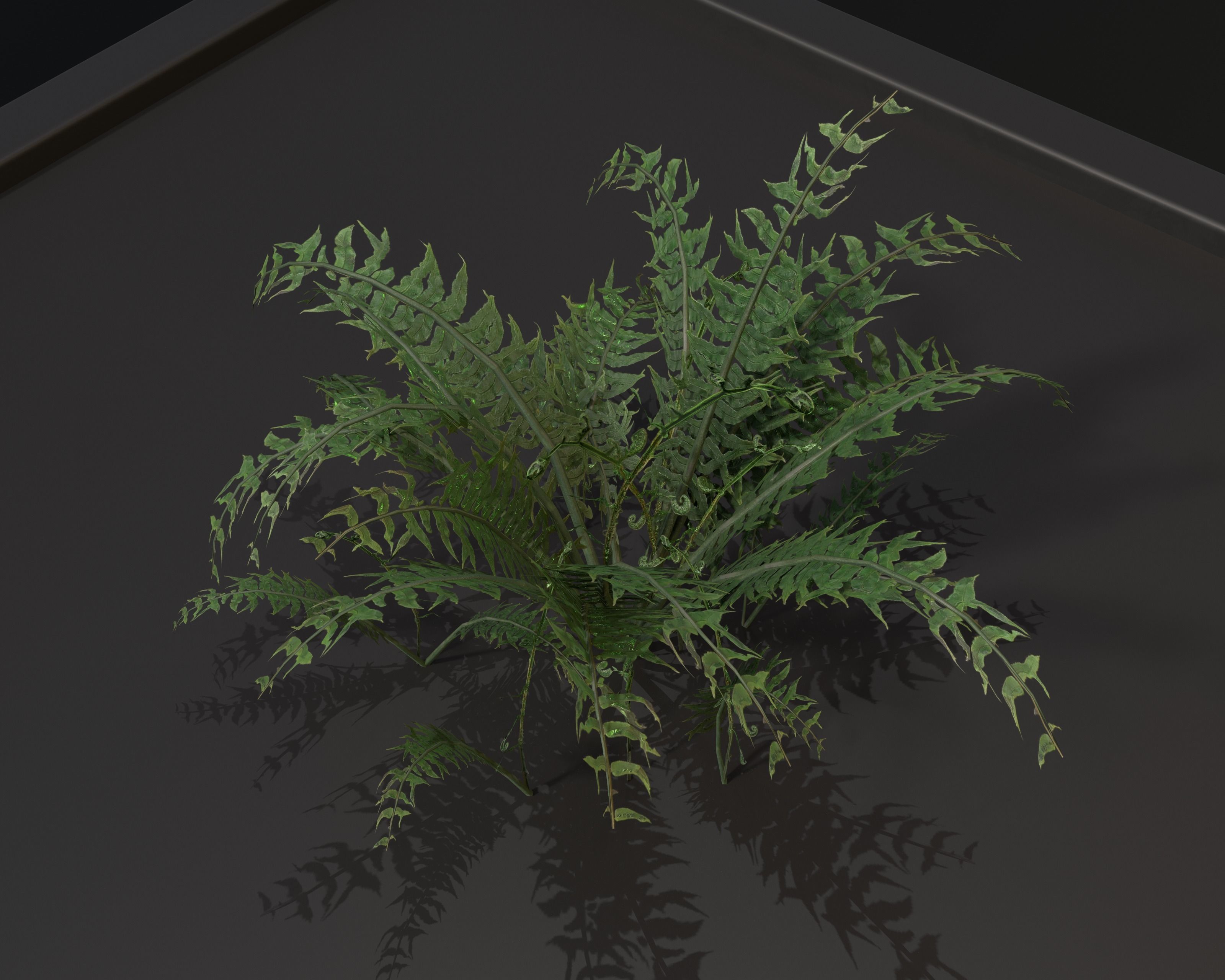 Castle Ruins Environment - PBR Medieval Props and Vegetation Low-poly 3D model_75