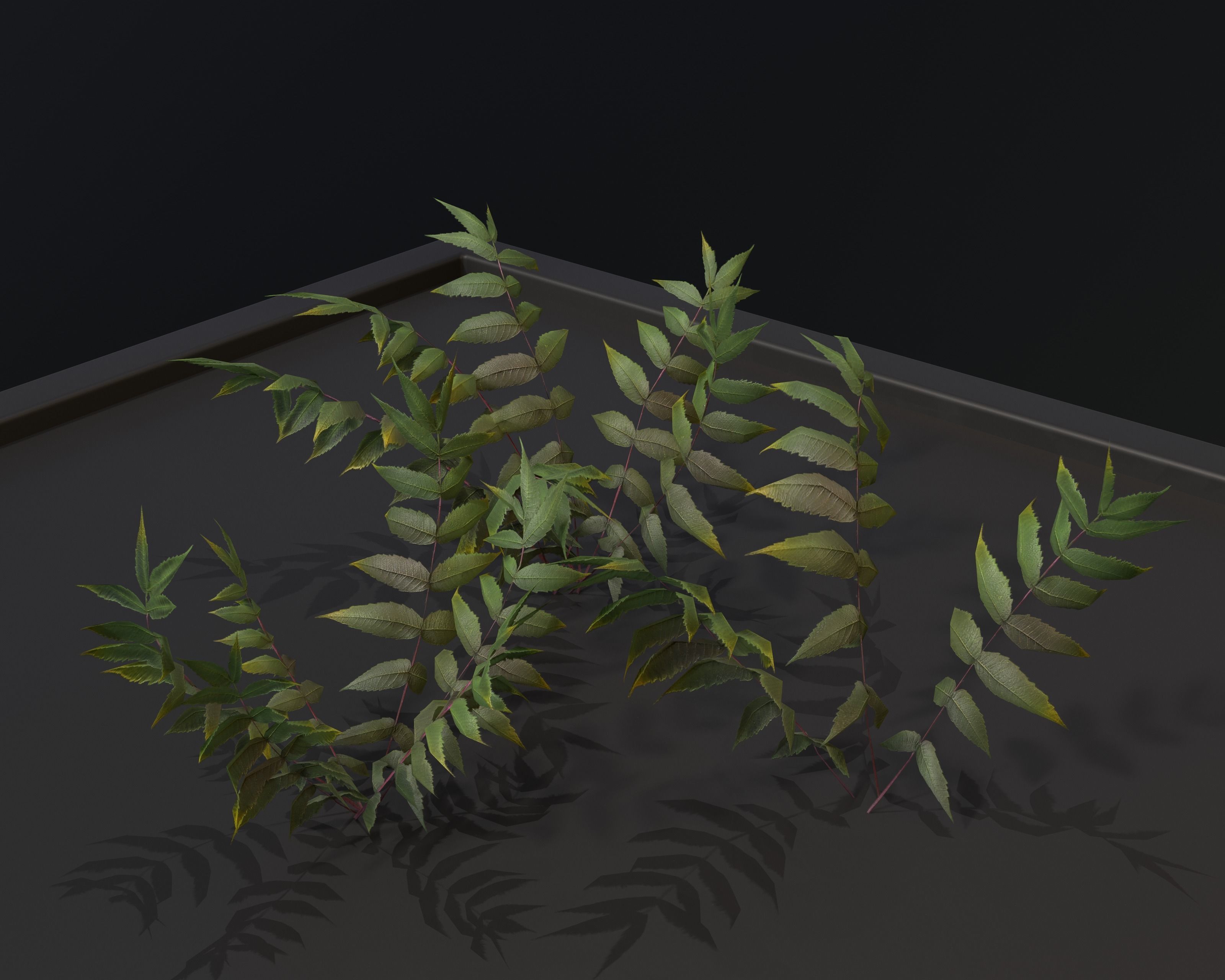 Castle Ruins Environment - PBR Medieval Props and Vegetation Low-poly 3D model_73