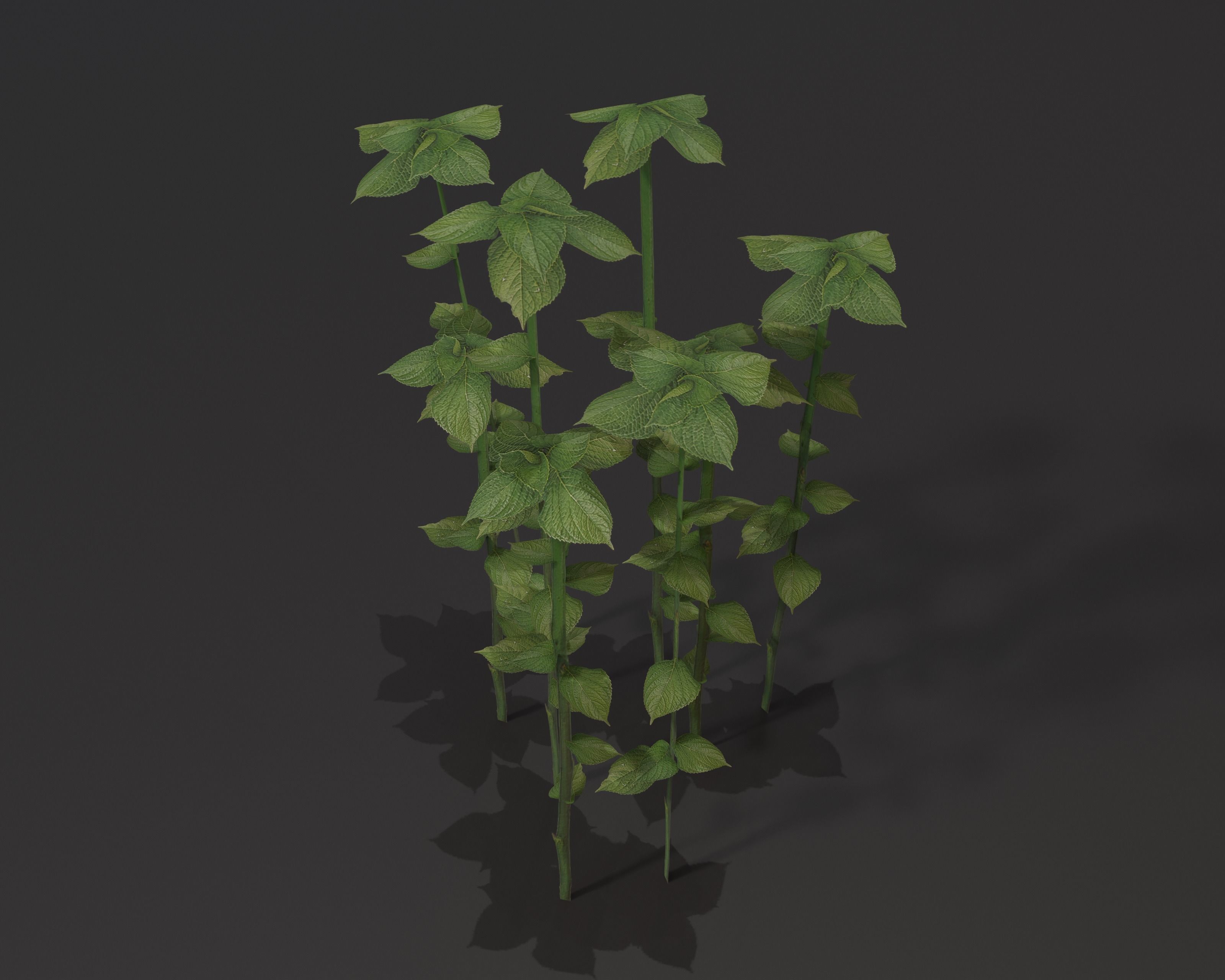 Castle Ruins Environment - PBR Medieval Props and Vegetation Low-poly 3D model_95