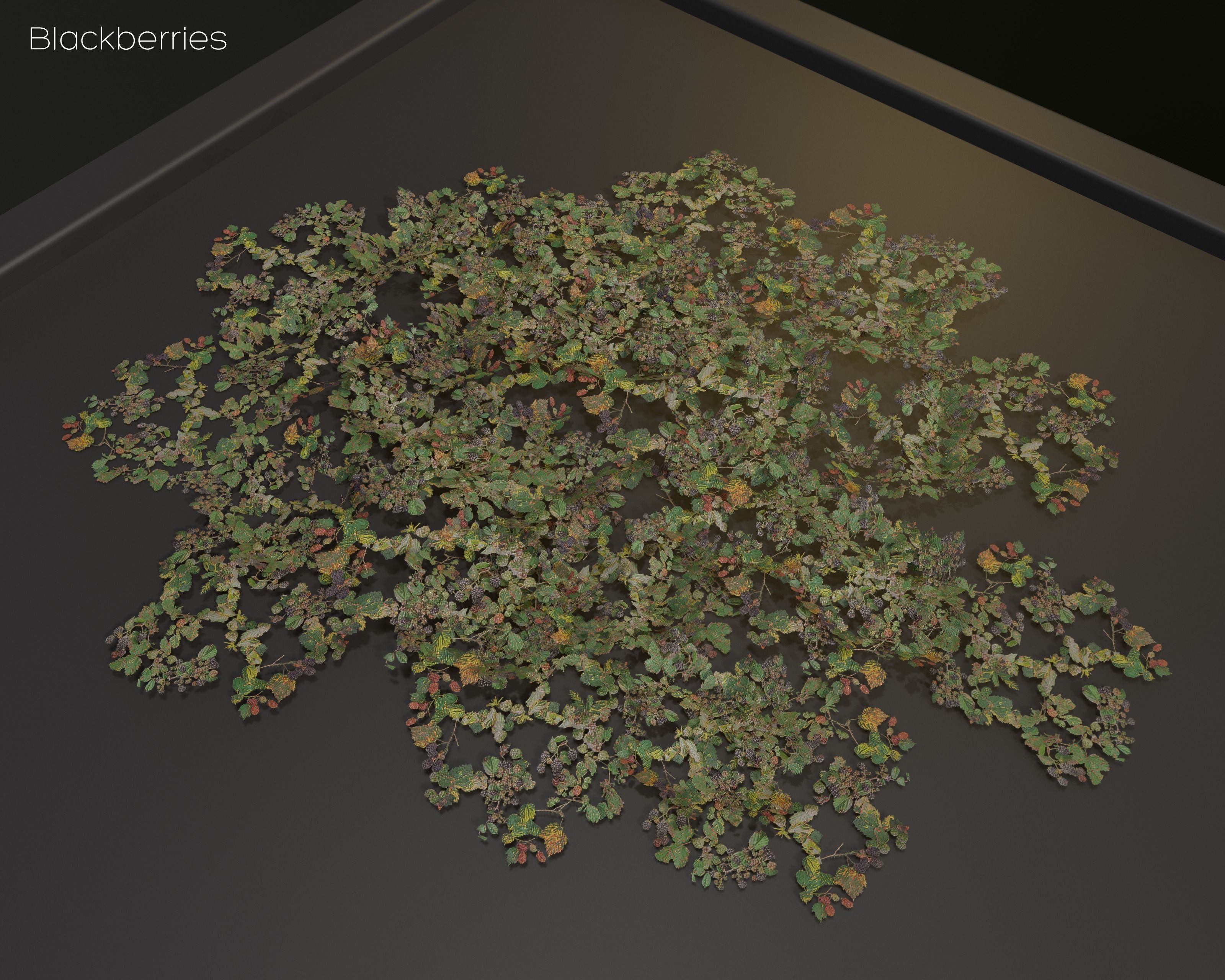 Castle Ruins Environment - PBR Medieval Props and Vegetation Low-poly 3D model_142