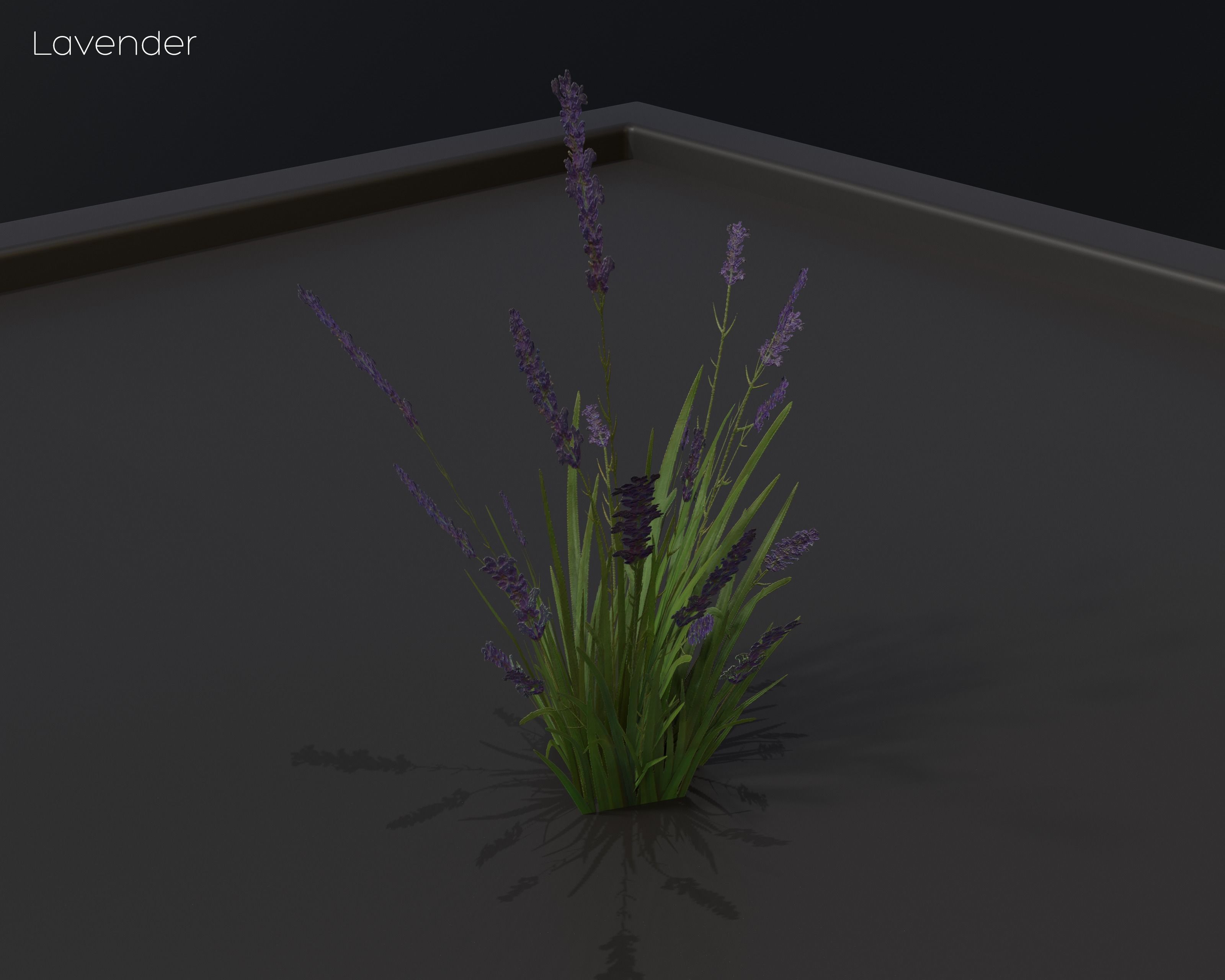 Castle Ruins Environment - PBR Medieval Props and Vegetation Low-poly 3D model_147