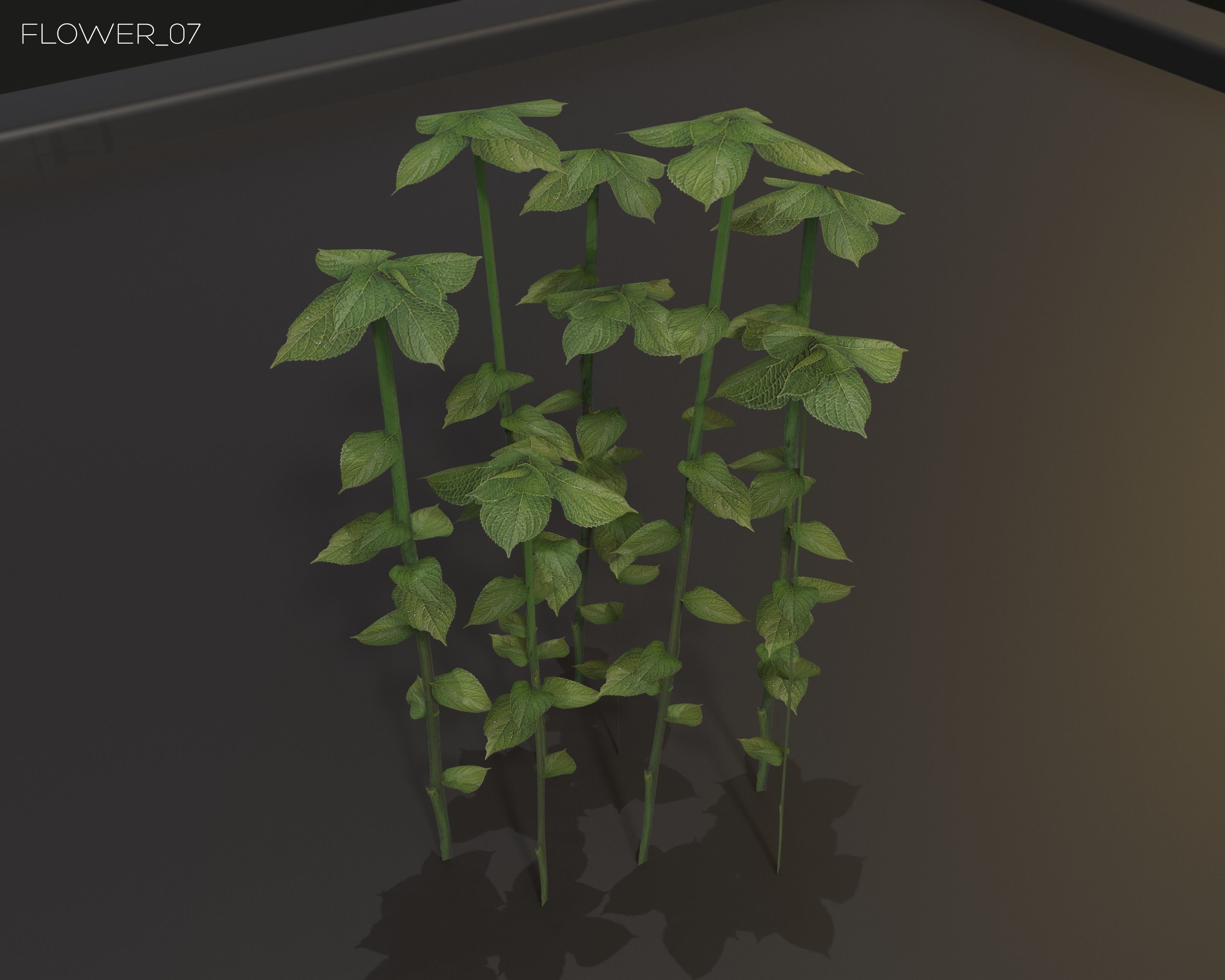 Castle Ruins Environment - PBR Medieval Props and Vegetation Low-poly 3D model_93