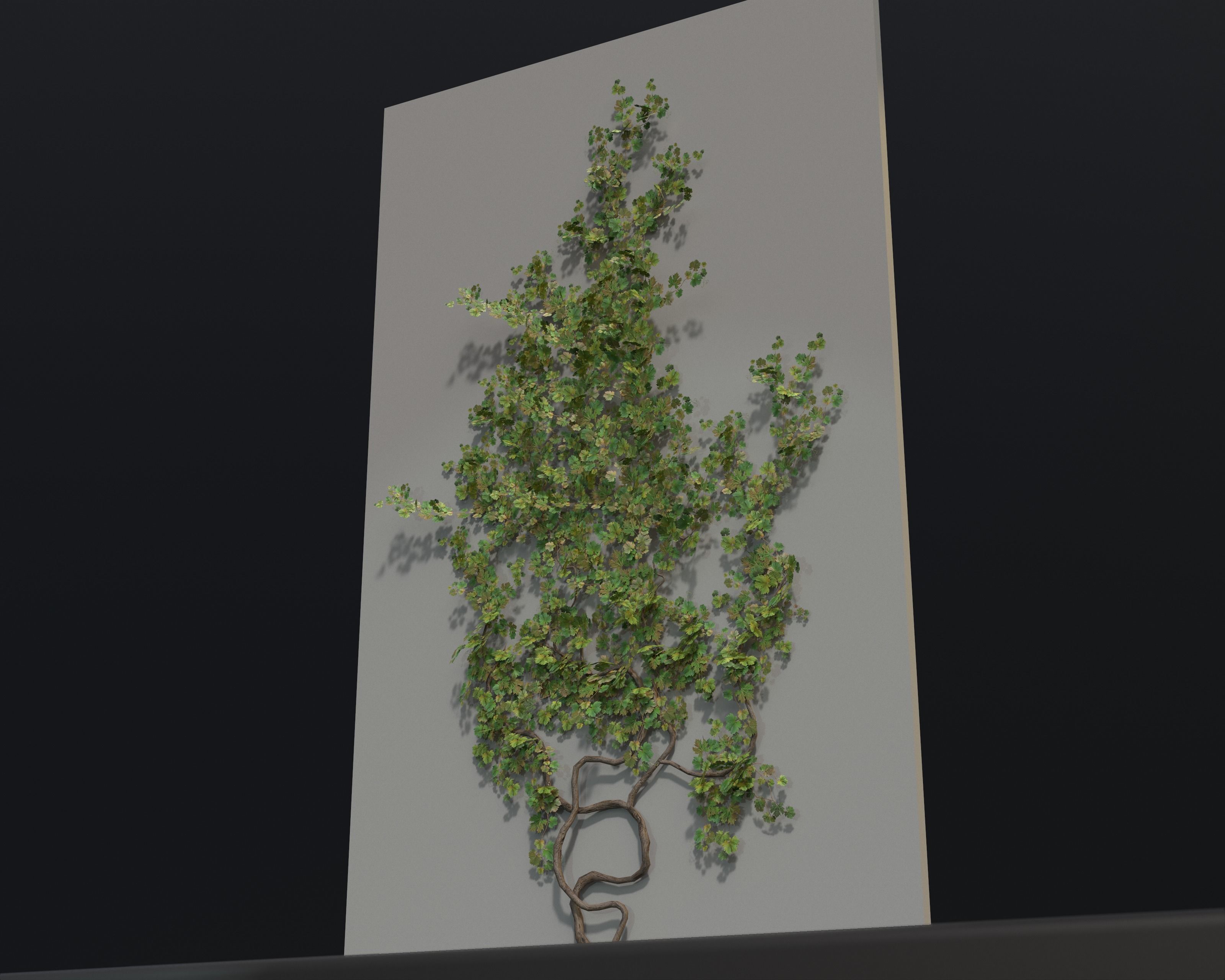 Castle Ruins Environment - PBR Medieval Props and Vegetation Low-poly 3D model_129