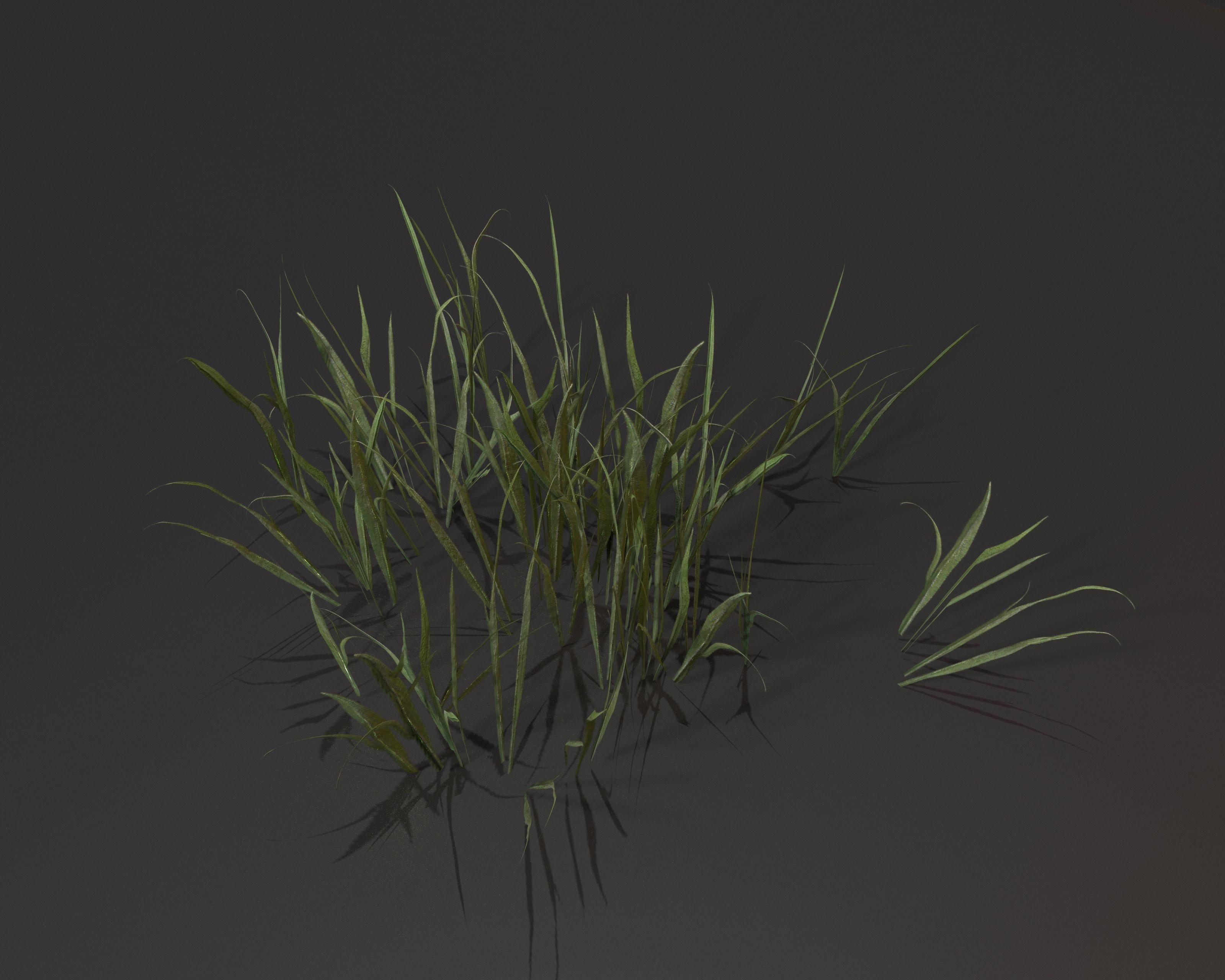 Castle Ruins Environment - PBR Medieval Props and Vegetation Low-poly 3D model_118