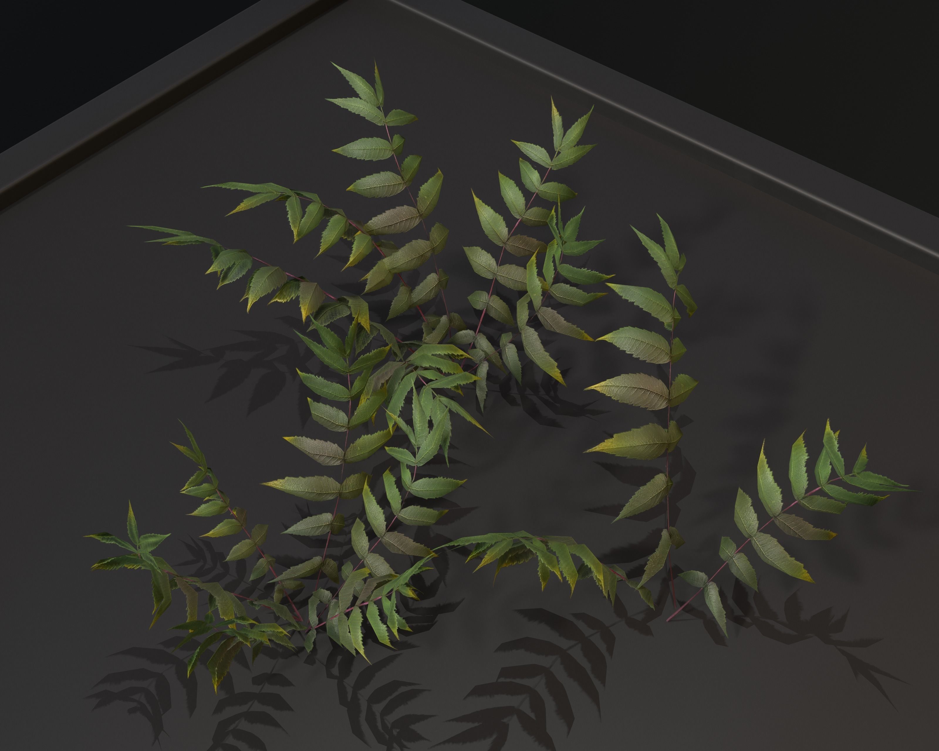 Castle Ruins Environment - PBR Medieval Props and Vegetation Low-poly 3D model_72