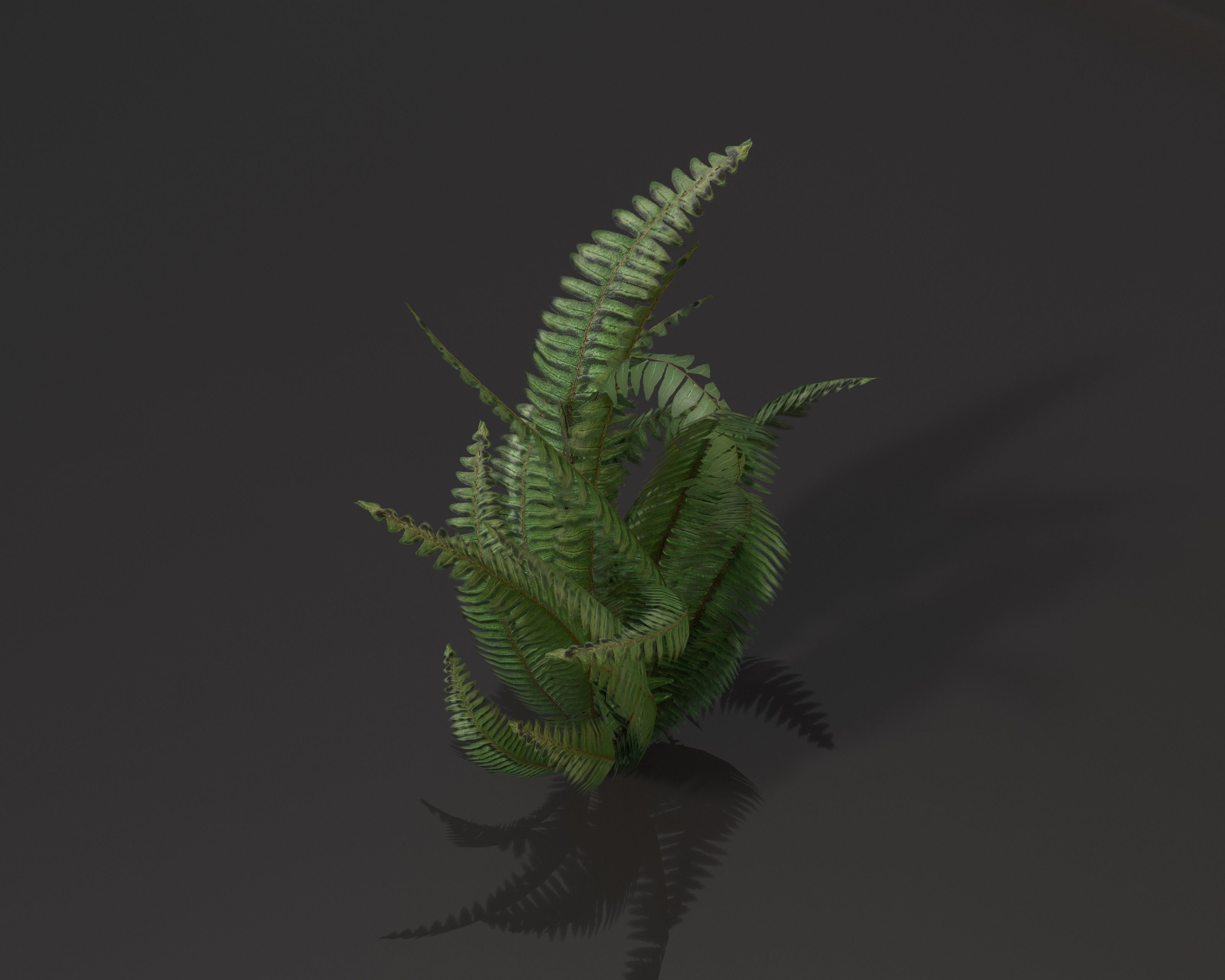 Castle Ruins Environment - PBR Medieval Props and Vegetation Low-poly 3D model_78