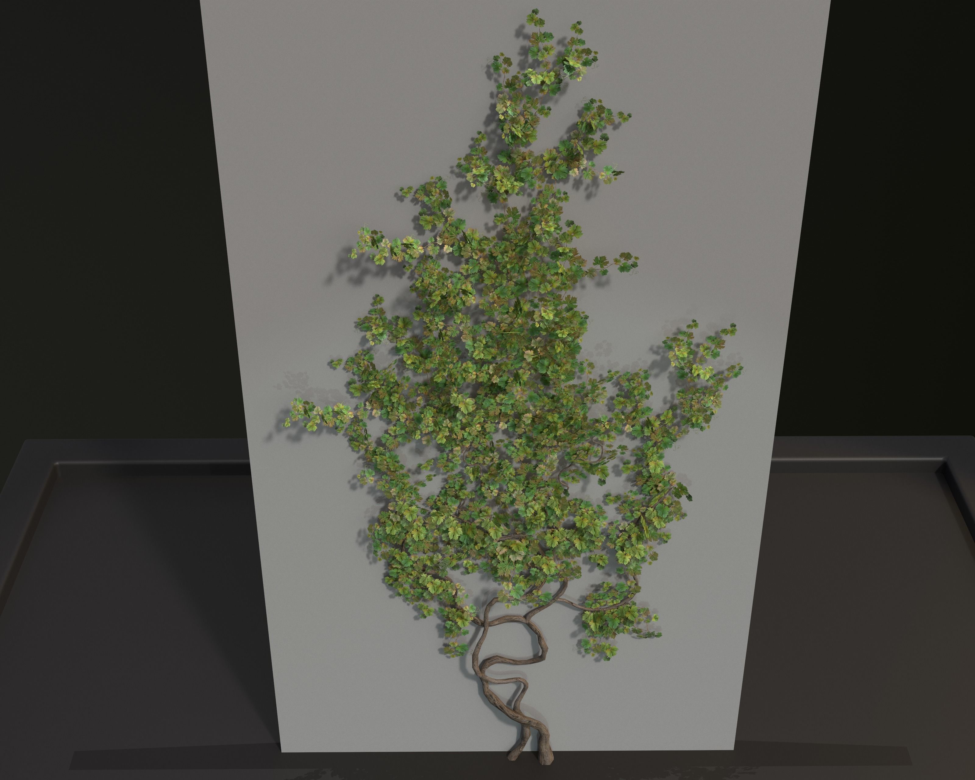 Castle Ruins Environment - PBR Medieval Props and Vegetation Low-poly 3D model_130