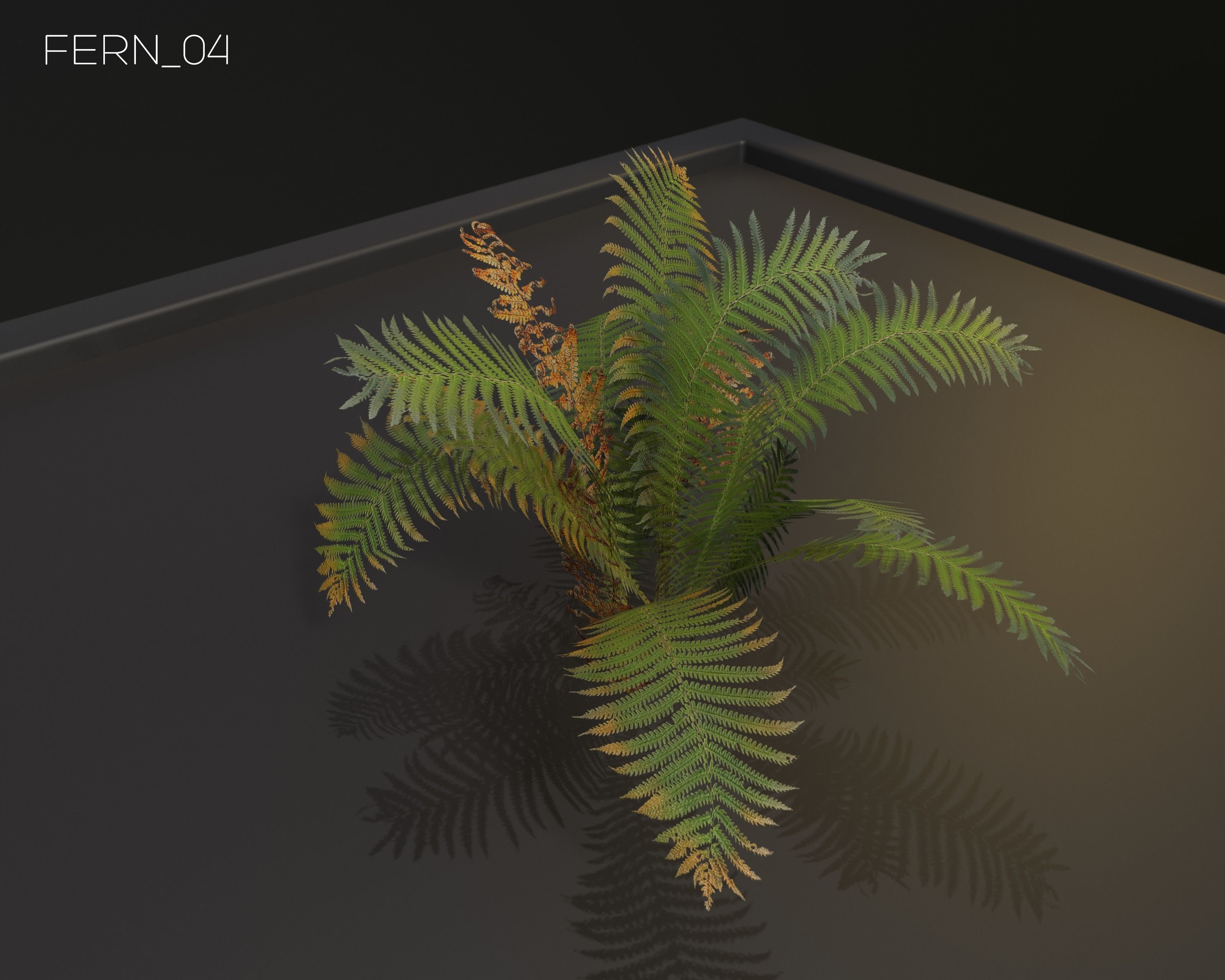 Castle Ruins Environment - PBR Medieval Props and Vegetation Low-poly 3D model_79