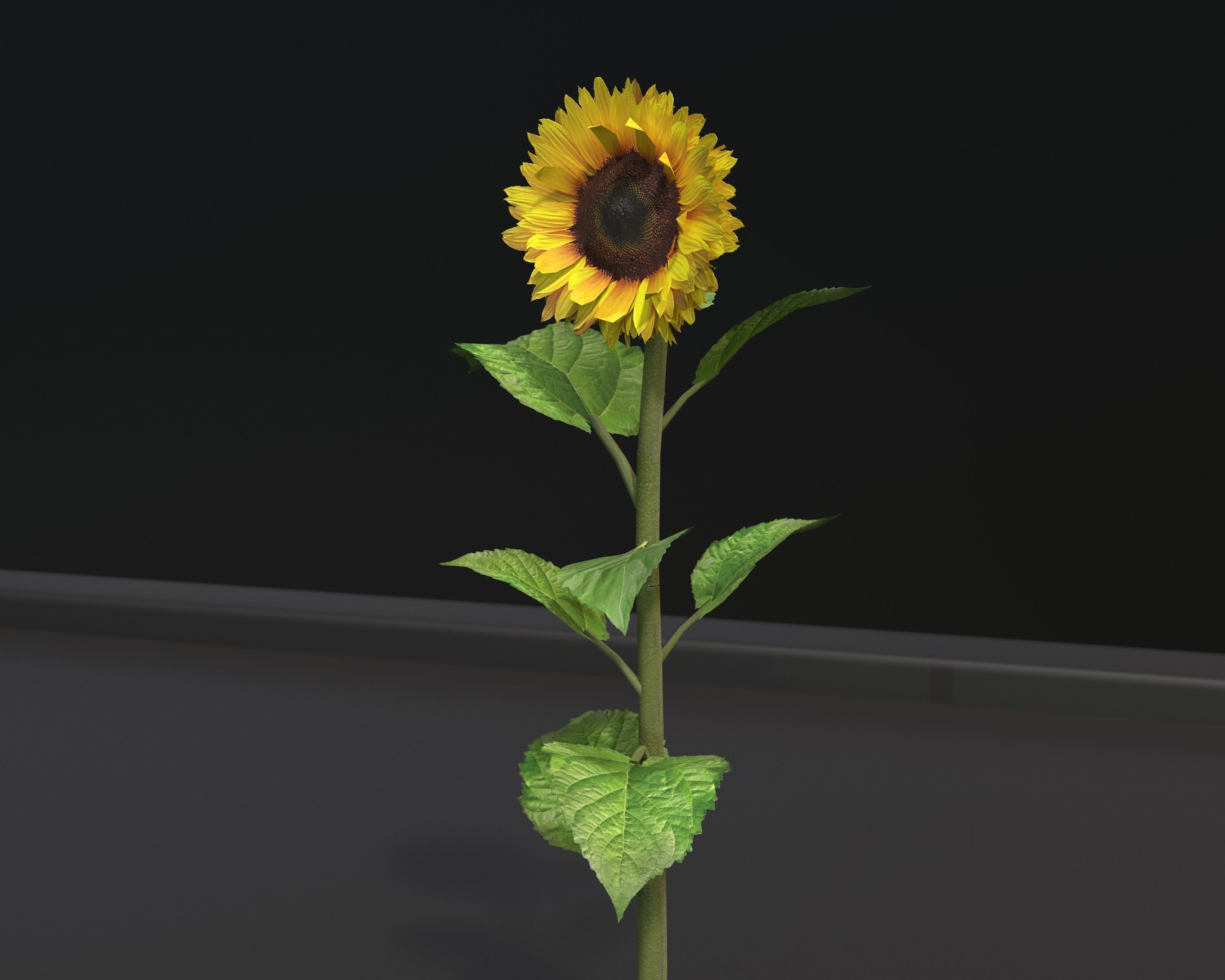 Castle Ruins Environment - PBR Medieval Props and Vegetation Low-poly 3D model_97