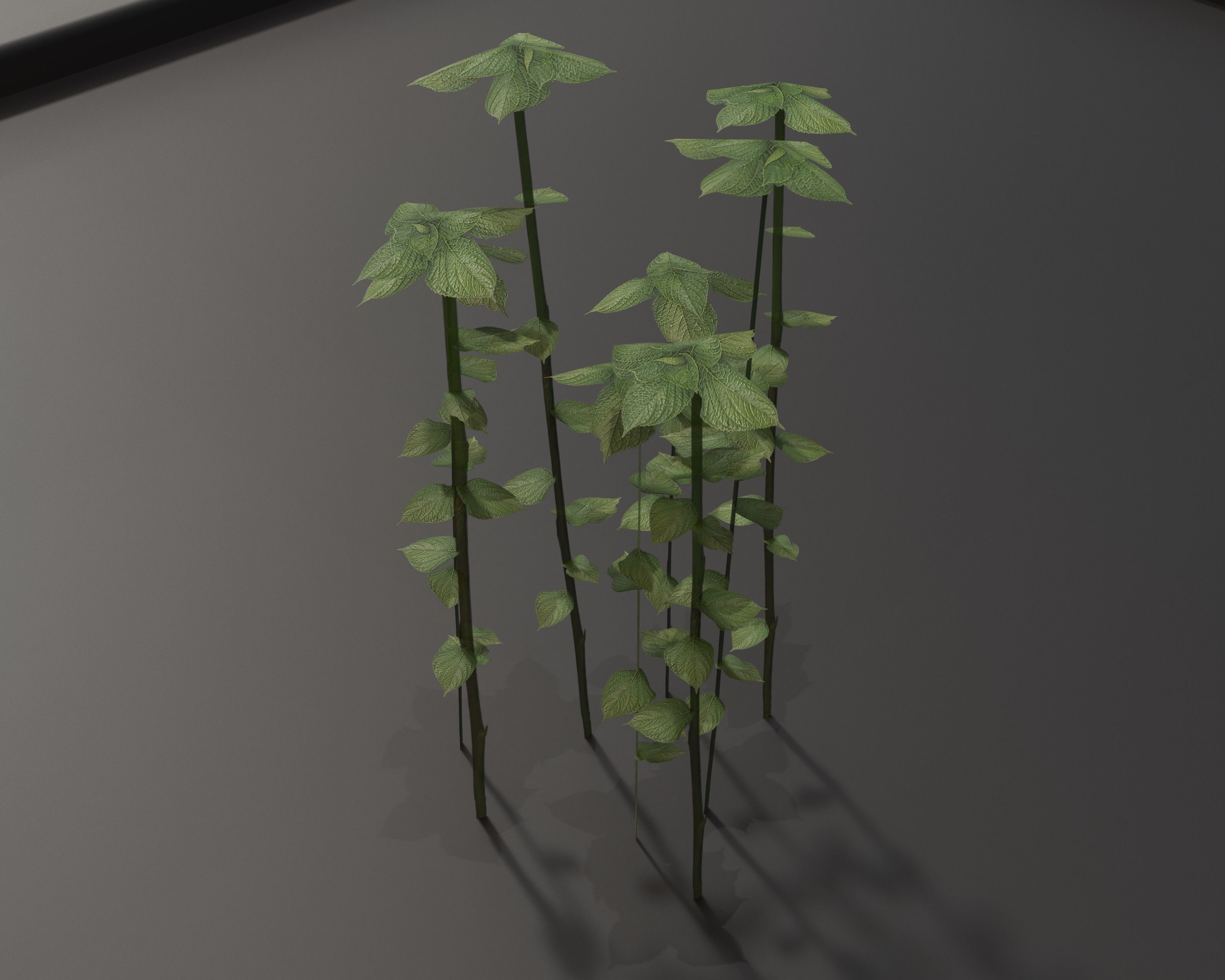 Castle Ruins Environment - PBR Medieval Props and Vegetation Low-poly 3D model_94