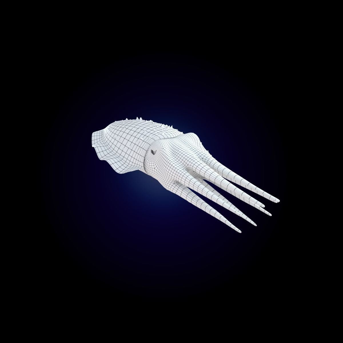 Cuttlefish Rigged Animated 3D model_15