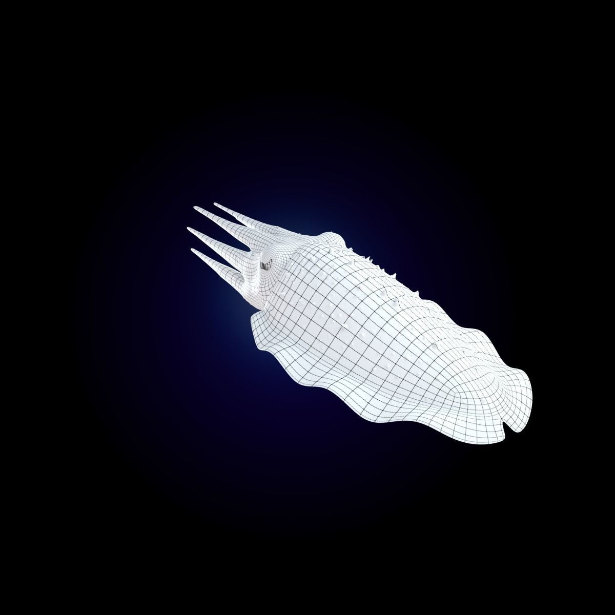 Cuttlefish Rigged Animated 3D model_14