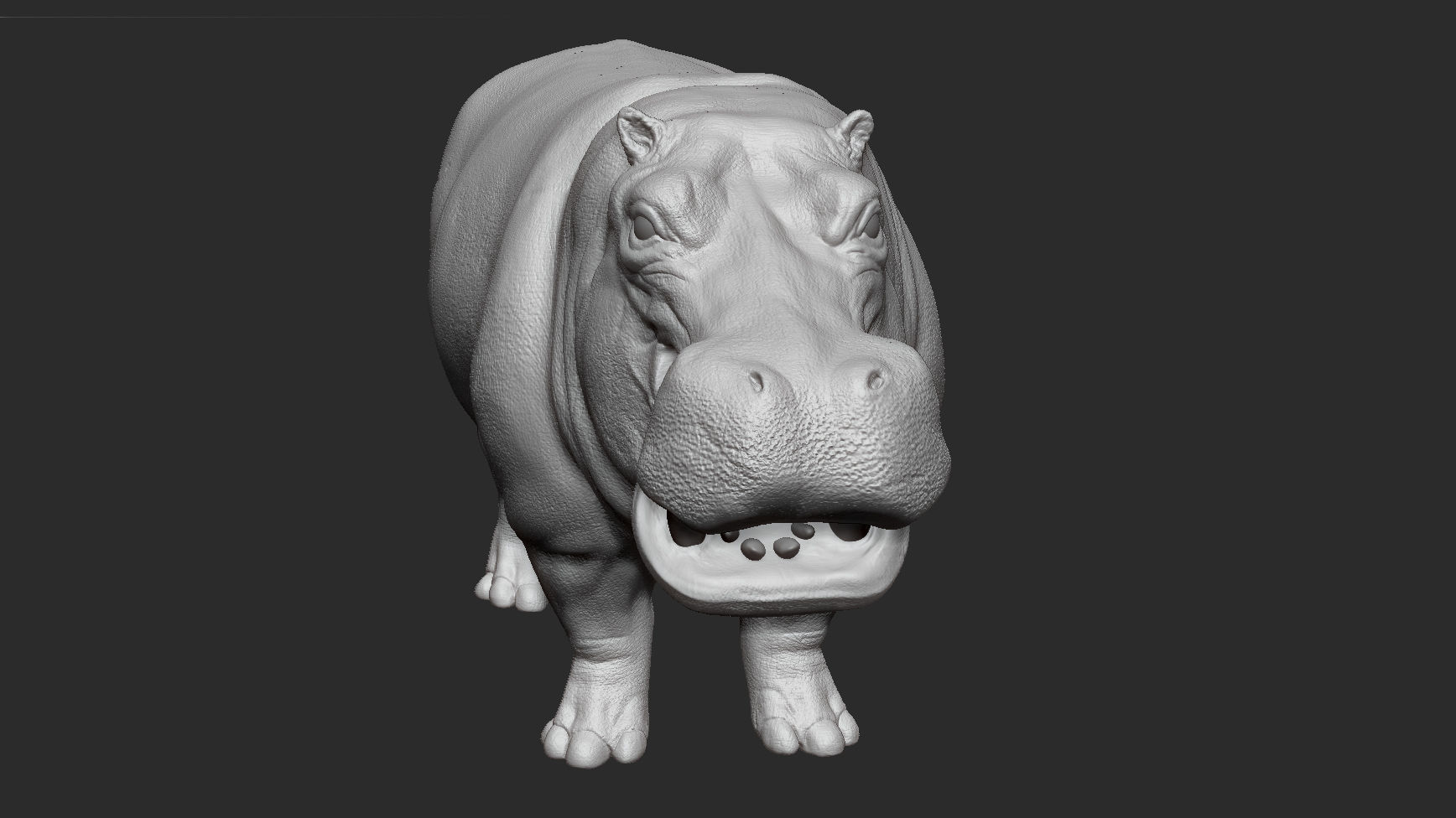 Hippopotamus - Sculpt 3D model_4