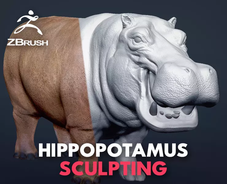 Hippopotamus - Sculpt 3D model_0