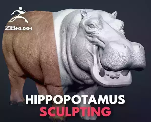 Hippopotamus - Sculpt 3D model