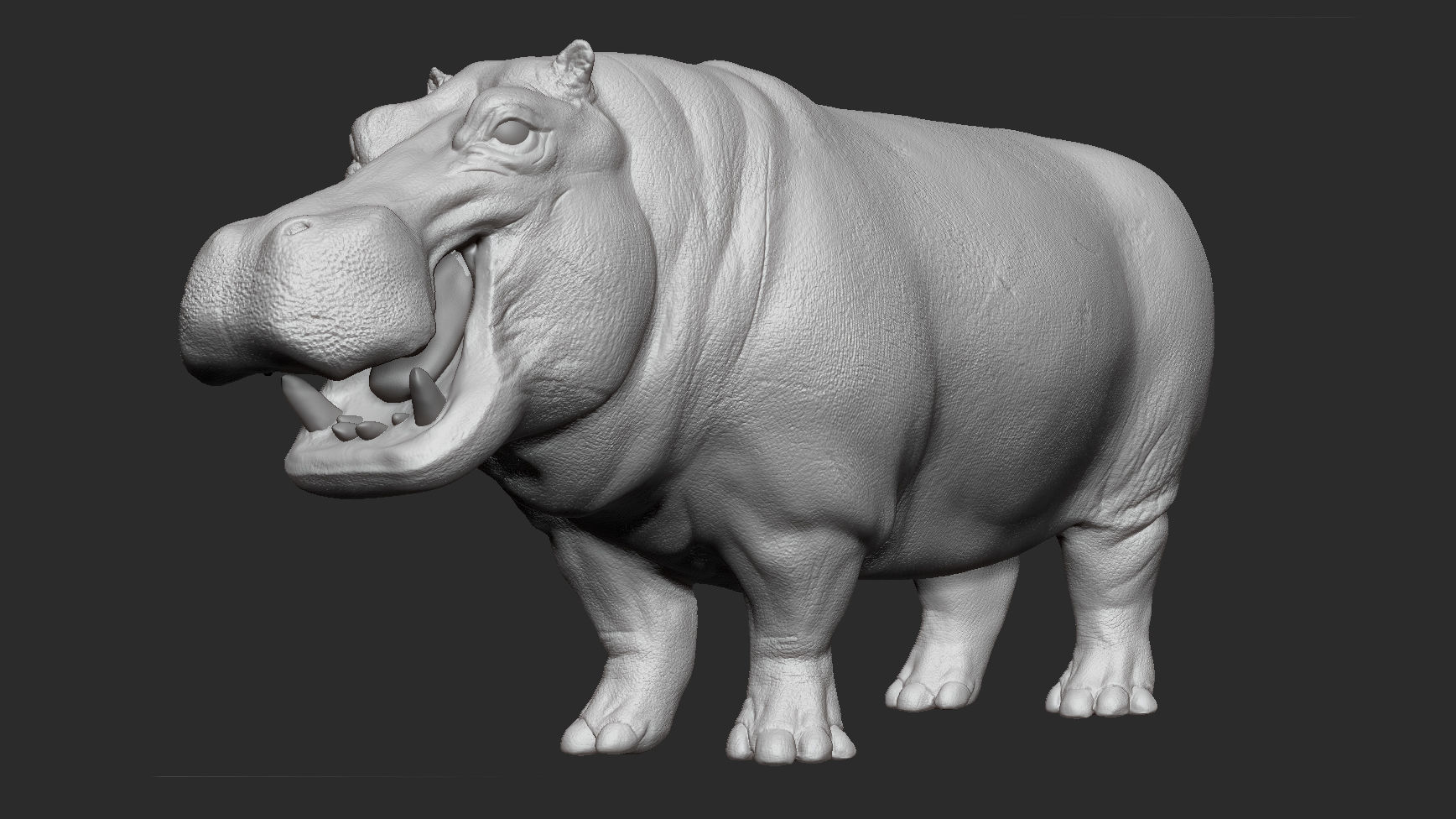 Hippopotamus - Sculpt 3D model_6