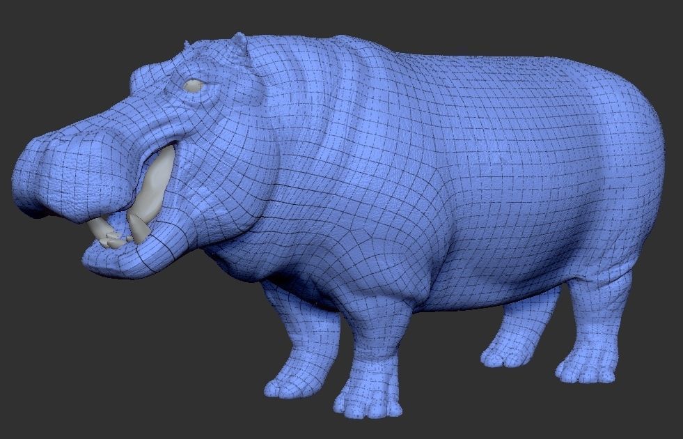Hippopotamus - Sculpt 3D model_12
