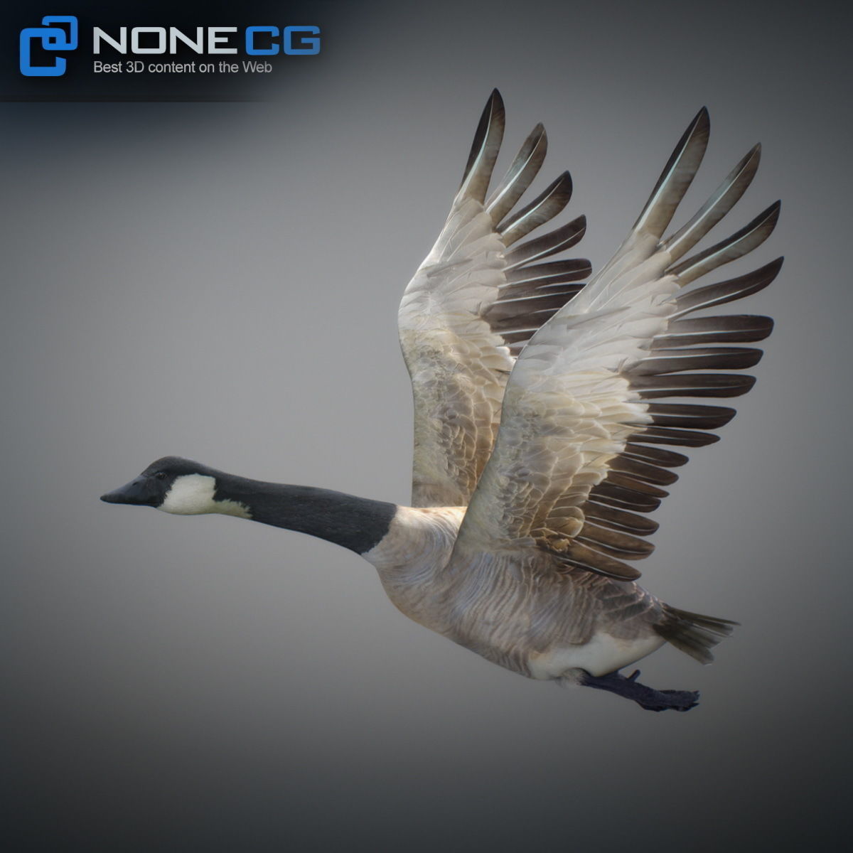 Animated Canada Goose 3D model_9