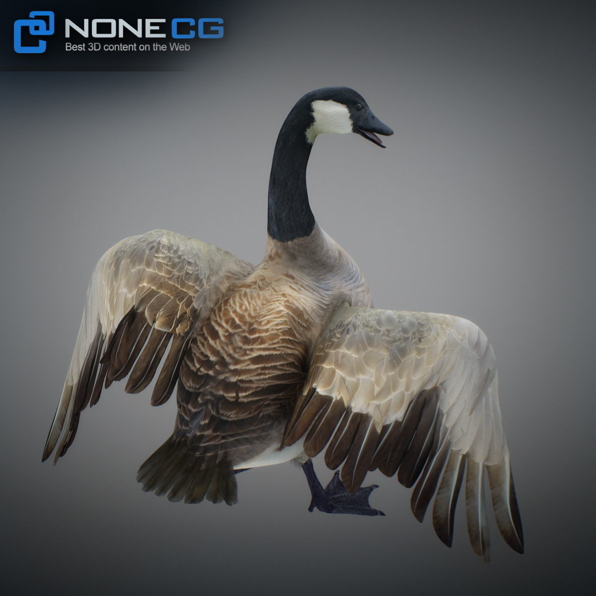 Animated Canada Goose 3D model_8