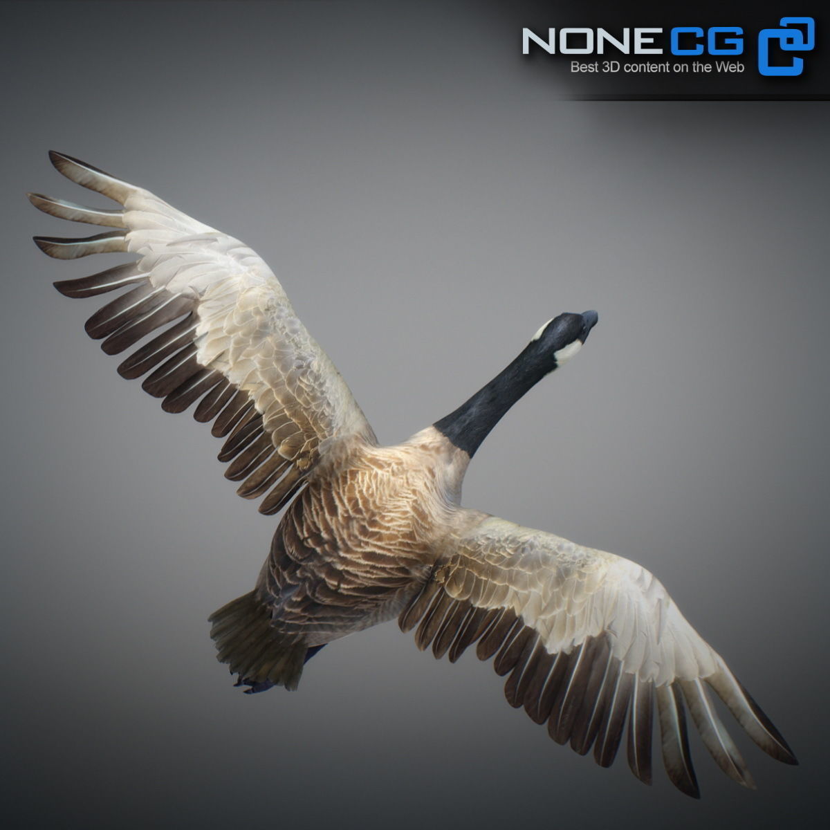 Animated Canada Goose 3D model_16
